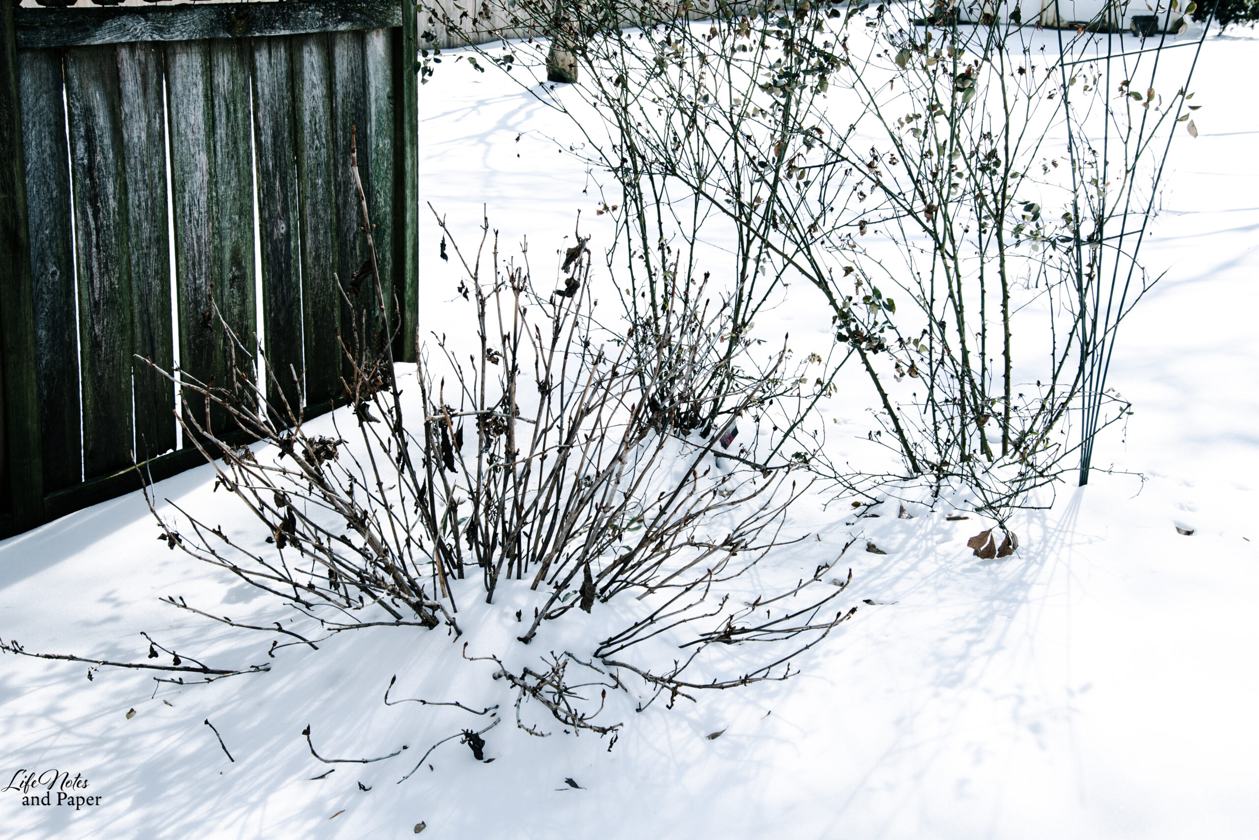 Saying goodbye to the snow